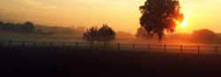 Bild_1